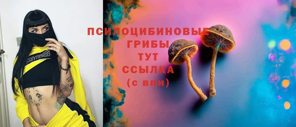 молекула духа Алексеевка