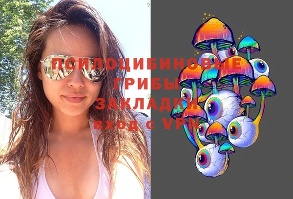 ПСИЛОЦИБИНОВЫЕ ГРИБЫ Вяземский