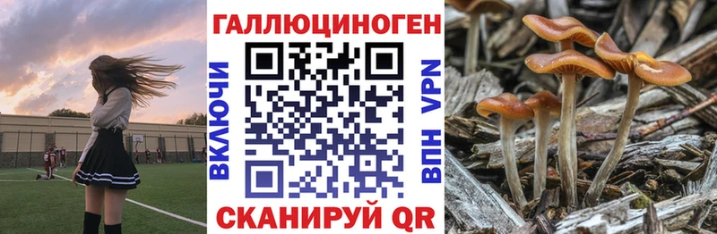 Галлюциногенные грибы прущие грибы  Еманжелинск 
